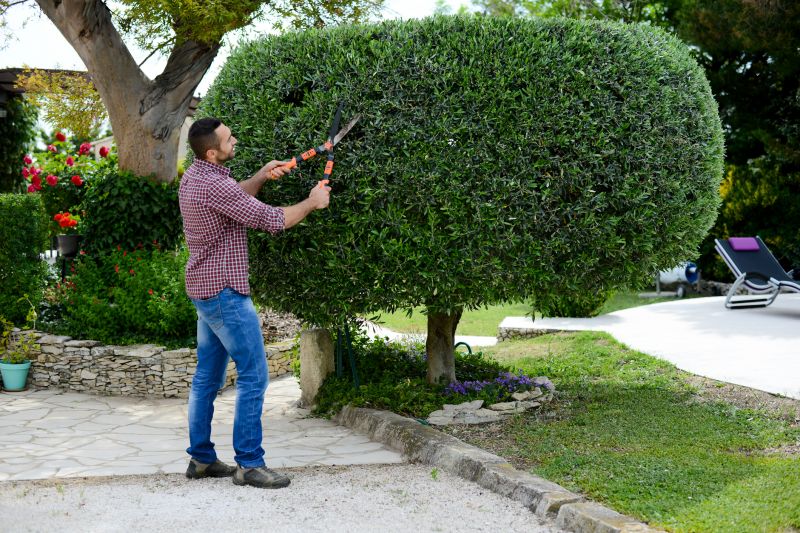 Shrub Trimming in Action