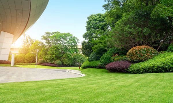 Commercial Shrub Trimming in Claremore
