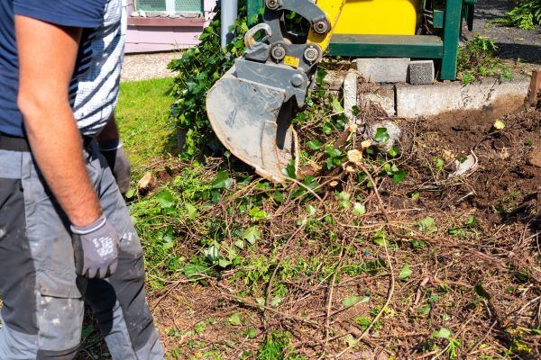 Hedge Removal Service in Claremore