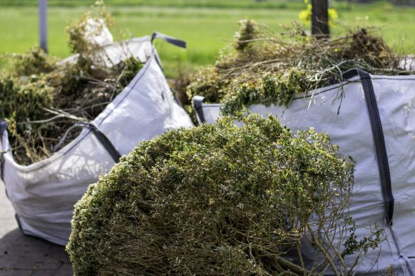 Cost of Dead Shrub Removal in Claremore